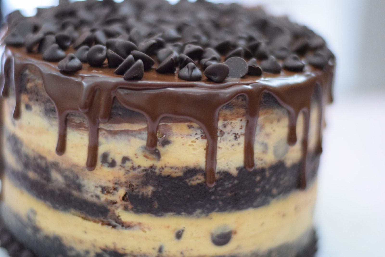 BOLO MOCHA 4 BOLO MOCHA